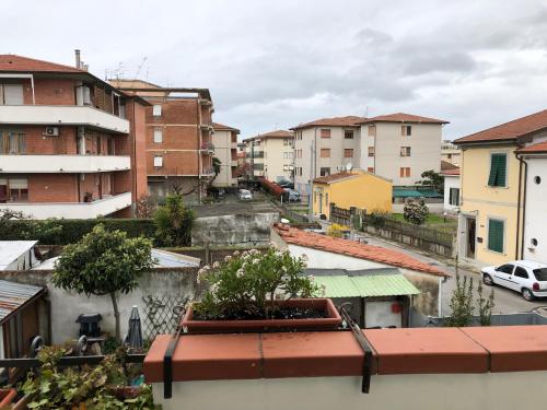 Da Paola – Pisa, MN