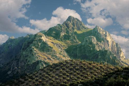 Casilla Dalea en Carcabuey, descubre el interior de Andalucia