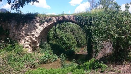 Casilla Dalea en Carcabuey, descubre el interior de Andalucia