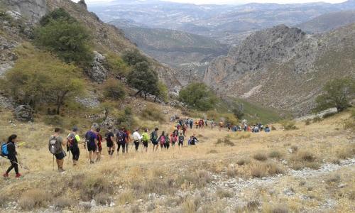 Casilla Dalea en Carcabuey, descubre el interior de Andalucia