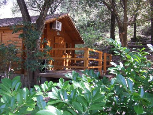 Camping Alivetu photo 16