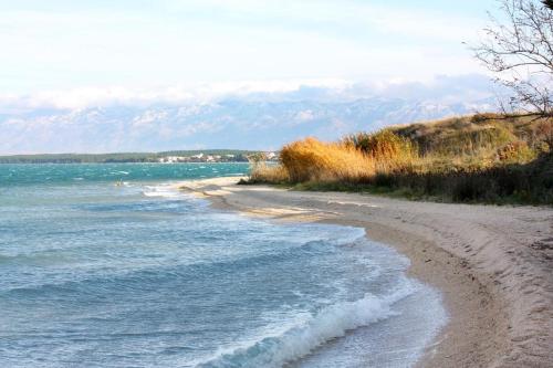  Apartments with a parking space Grbe, Zadar - 14910 in Nin