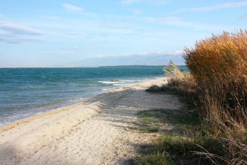  Apartments with a parking space Grbe, Zadar - 14910 in Nin