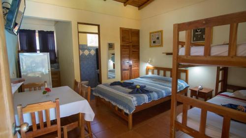 hotel isolina beach