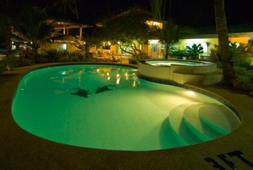 Πισίνα, Lost Horizon Beach Dive Resort in Bohol