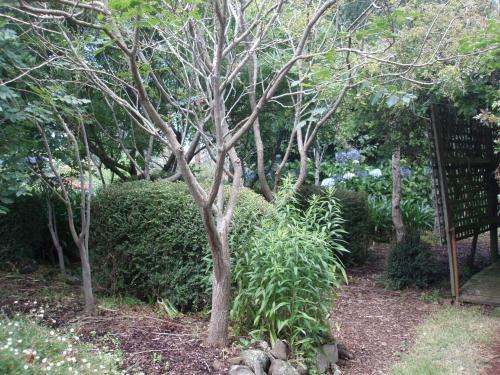 Boat Harbour Garden Cottages