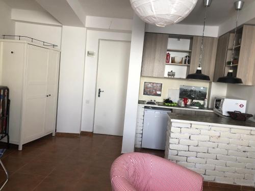 Apartment in Penta Invest Building, Gudauri (foto 5)
