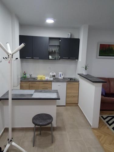 บริการและสิ่งอำนวยความสะดวก, Apartman Ana in ดูโดวาชูมา