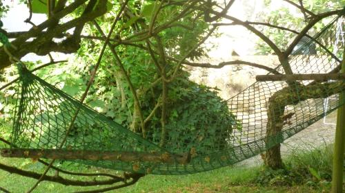 Maison d'hotes Le Jardin chambre d'hôte Brégnier-Cordon