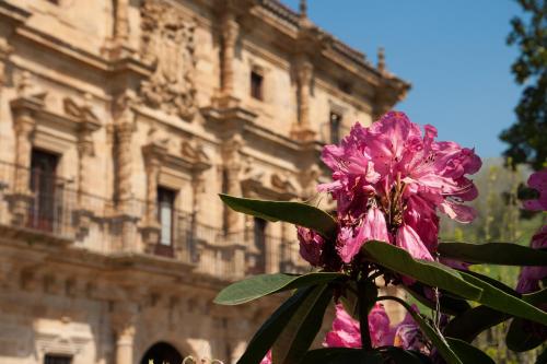 Abba Palacio de Soñanes Hotel