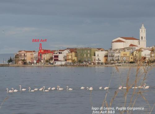 B&B Lesina - L'ISOLA AeR B&B - Bed and Breakfast Lesina