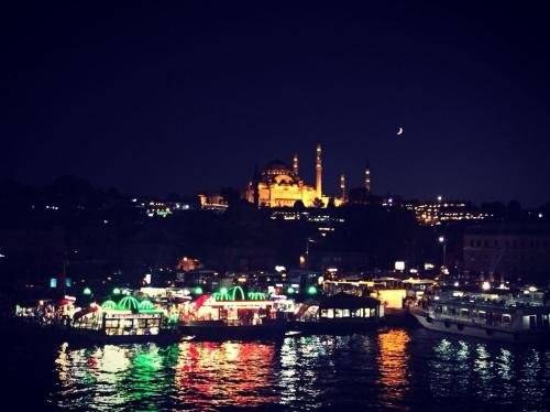 ARINÇ HOTEL, Istanbul (photo 9)
