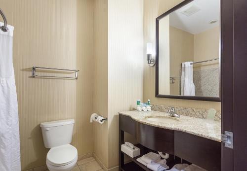 Holiday Inn Express Hotel & Suites Byram, an IHG Hotel