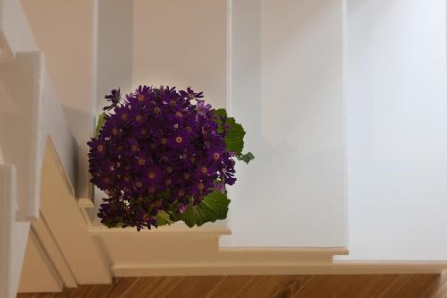 Relais al Museo, Neapel (Foto 4)