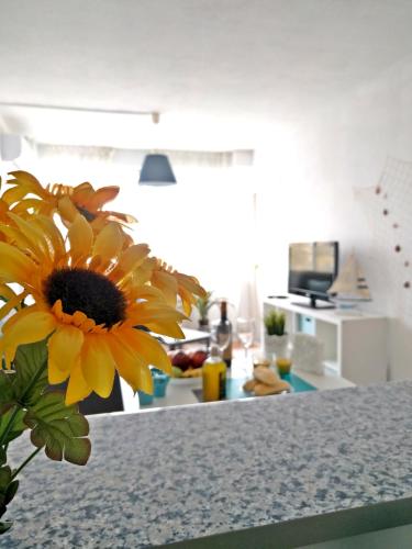 SkySea Holidays BENALMADENA