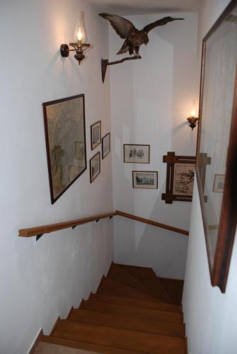 Hungária Vendégház - image 3
