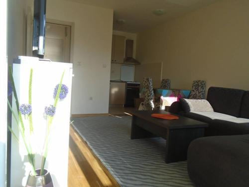 Fantastic brand new apartment - image 4