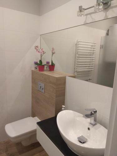 Apartament Słoneczny 6 Kościelisko