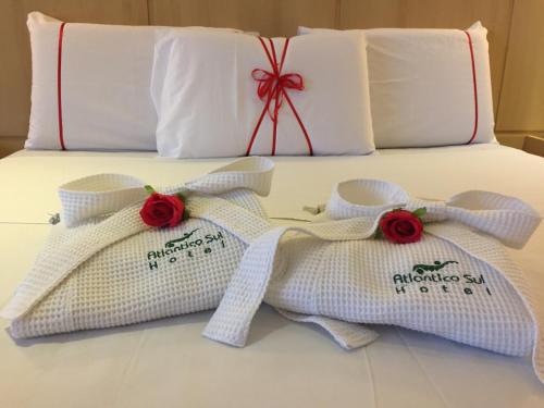 134837080 Atlantico Sul Hotel
