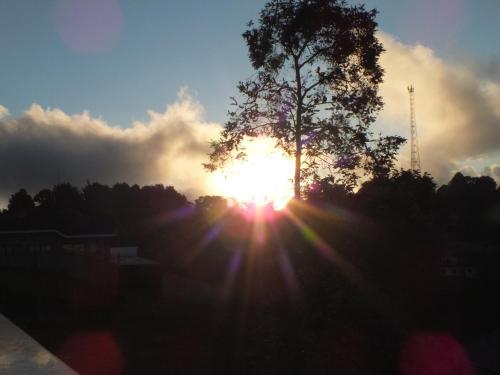 Maris Campos do Jordão