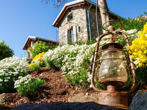 Agriturismo Tre Terre - main image