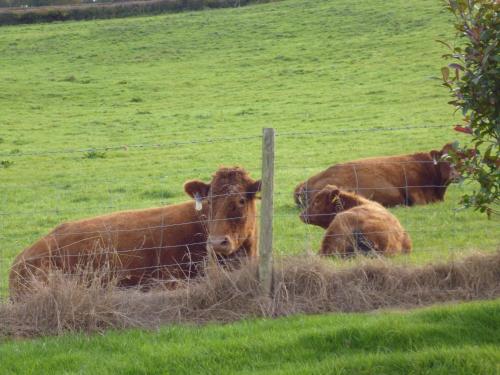 Whidlecombe Farm