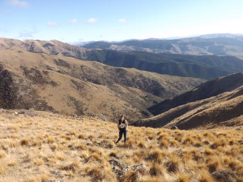 Atracciones, Karetu Downs Farm Stay in Amberley