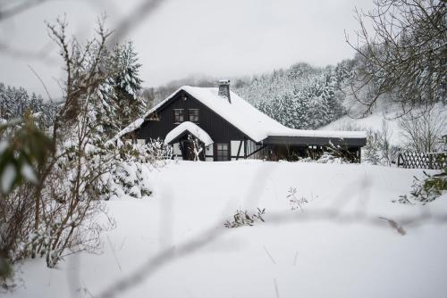 Romantikhütte Neuastenberg Winterberg