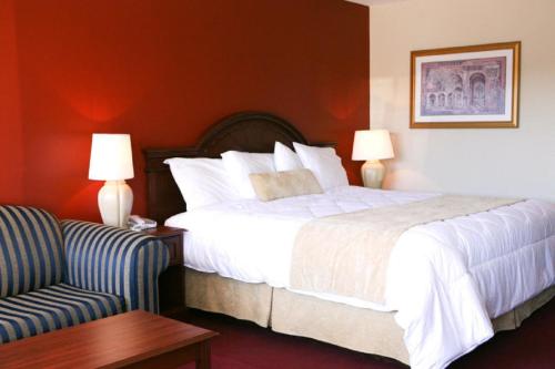 Saxony Motel - Accommodation - Chatham