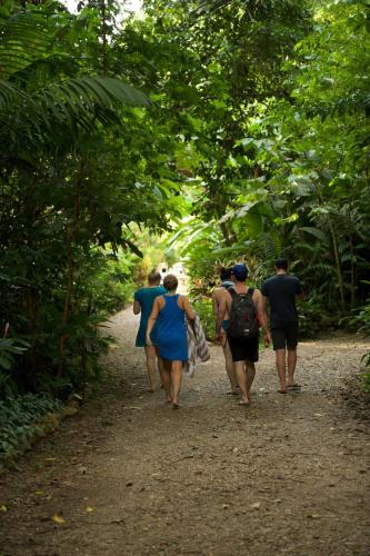 Ian Andersons Caves Branch Lodge图片