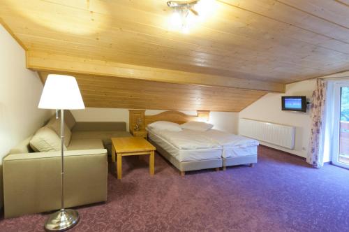 Willa Alpejska - basen, jacuzzi e-rowery w cenie przy min 2 nocach – Wisla, IN