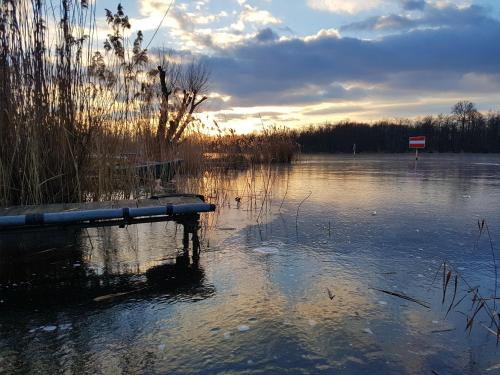 Gemütliche Idylle am Seddinsee