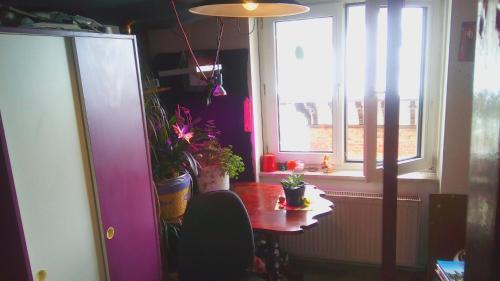 CityCentre room for 1 female persons - alternative plus 1 child, Francfort-sur-le-Main (photo 10)