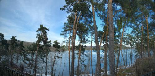 Terasy Mládí Máchovo jezero