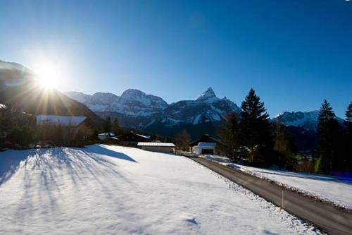 Chalet Danninger - image 11