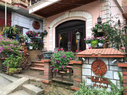 Thai Binh Sapa Hotel