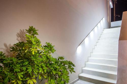 Yianna's Flat Yianna's Flat