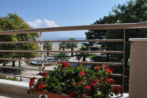 Al Mare - image 13
