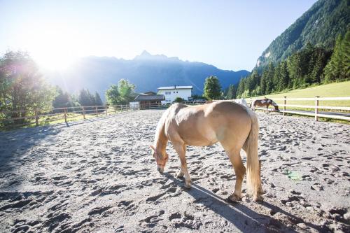 Ferienhaus Oetztal