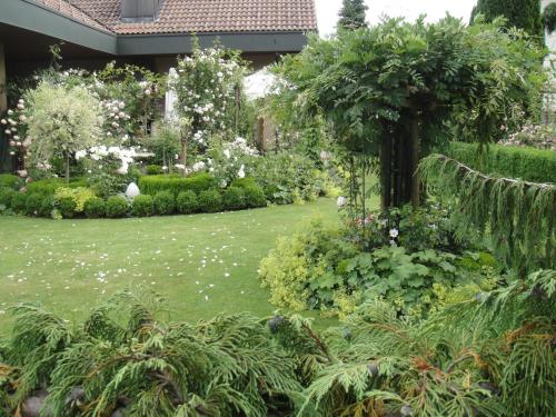 Charming and cosy apartment near Lucerne