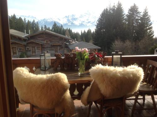  Petit Ours in Villars-sur-Ollon