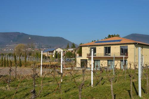Vinotel Dollt-Kern 4