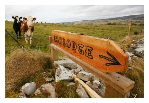 Ash Lodge - image 5