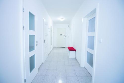 Luxury Two-Bedroom Apartment with City View image 7