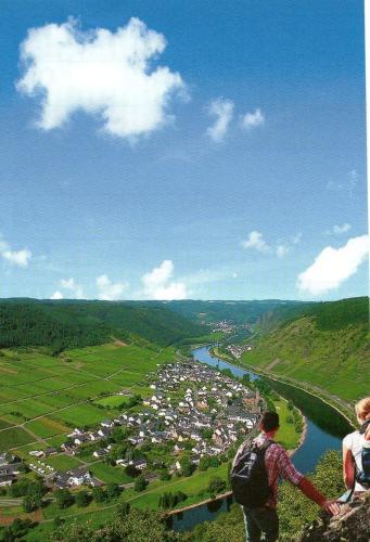 Moselwinzerhaus - image 12