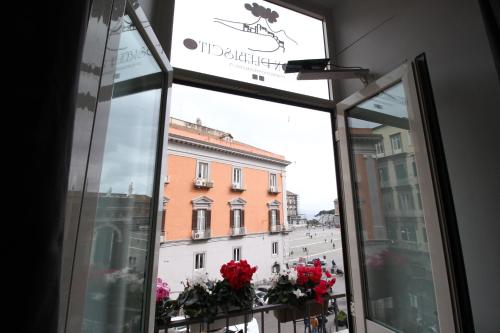 Maison Plebiscito 3