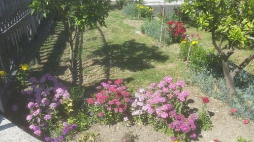 Guesthouse Kodre - image 5