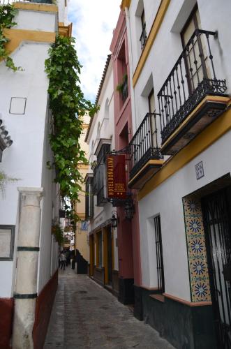 Hotel Doña Lina - image 9