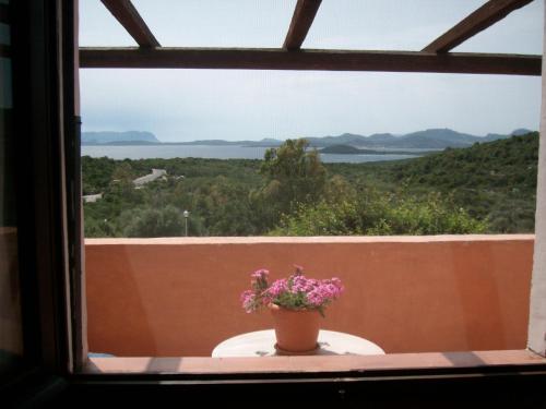 Balkon/terasa, Bilocale Ginestre - Costa Smeralda in Porto Cervo center
