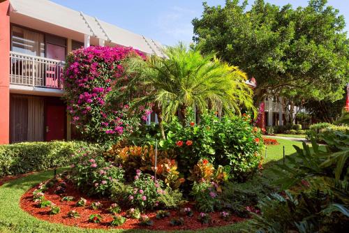 Ramada by Wyndham Naples - main image